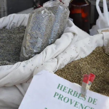 Sur Cavaliere Avec Terrasse, 1er Etage, 2 Couchages - Fr-1-251-80 * לה לבאנדו